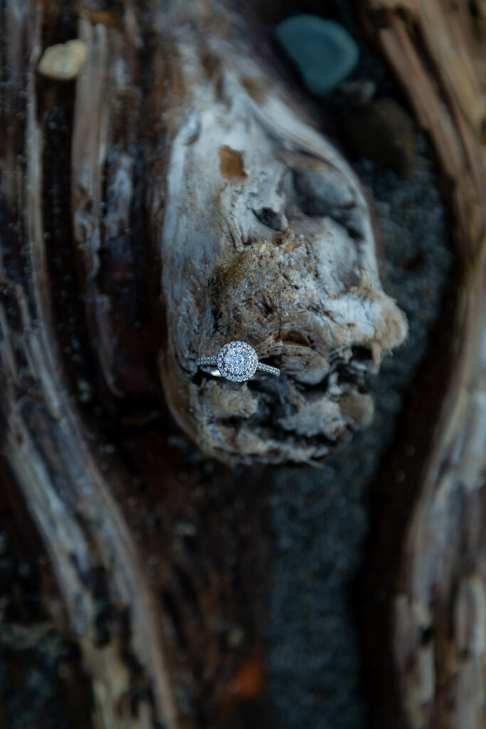 Reflective Light Media photography